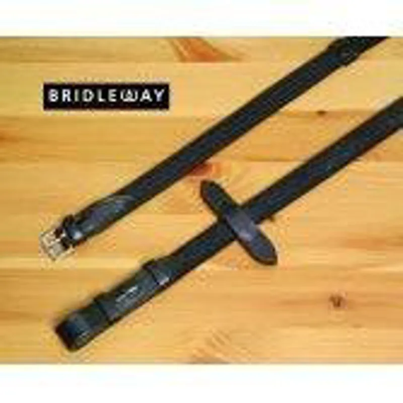 Bridleway Web Reins